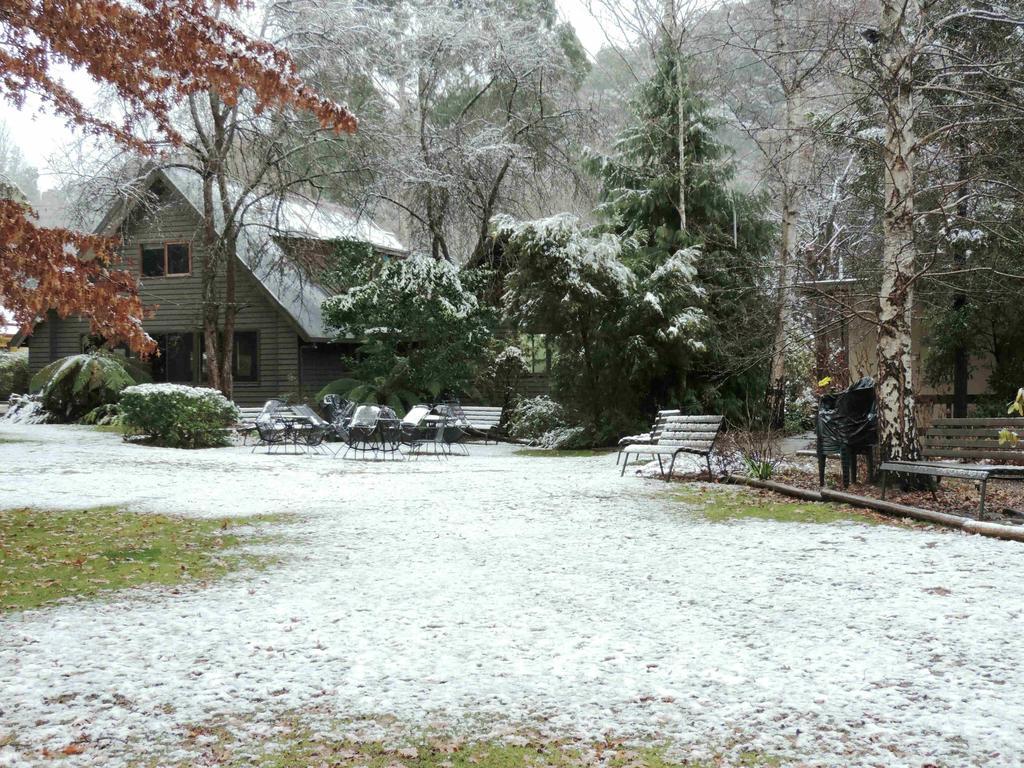 Mountain View Holiday Retreat Harrietville Dış mekan fotoğraf