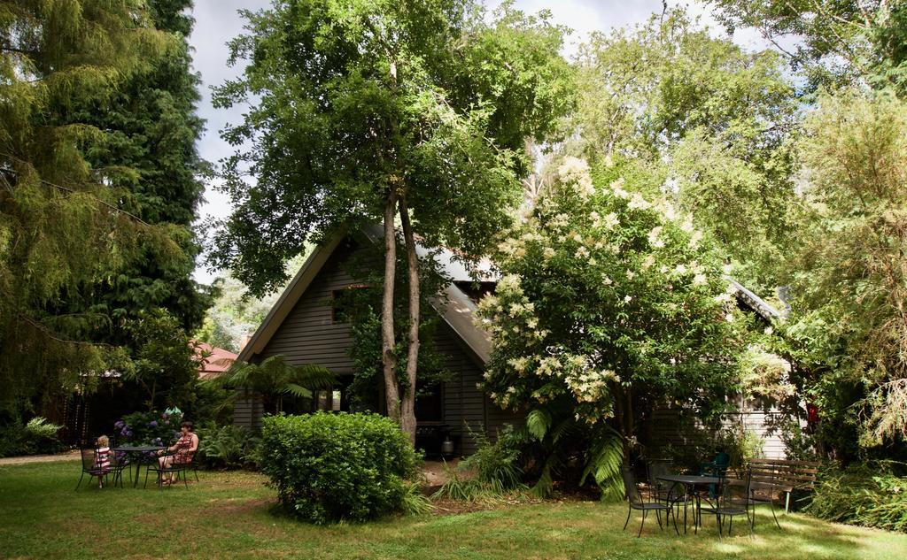 Mountain View Holiday Retreat Harrietville Dış mekan fotoğraf